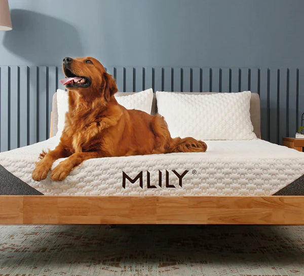 Matelas Mlily Reserve +