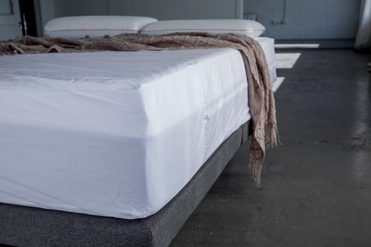 Housse imperméable anti punaise de lit
